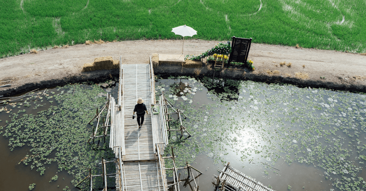 Sewage & Effluent Treatment Solutions